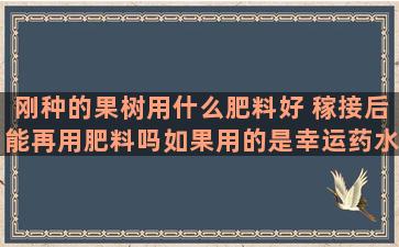 刚种的果树用什么肥料好 稼接后能再用肥料吗如果用的是幸运药水呢